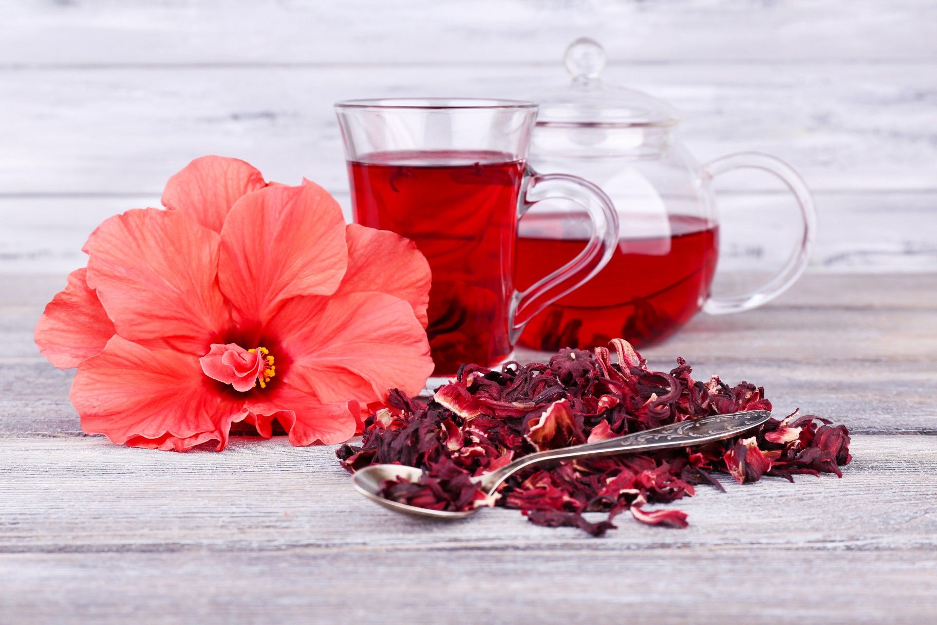 8 lợi ích của trà hibiscus (dâm bụt)