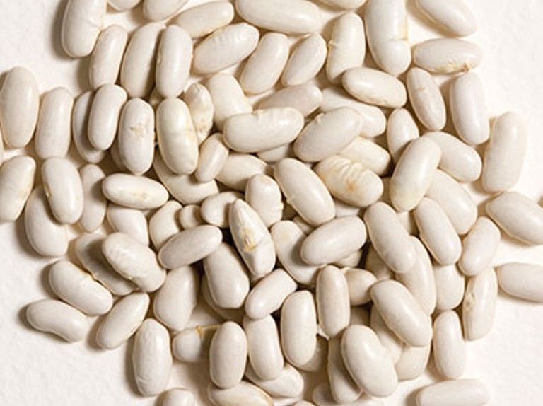 Tìm hiểu về đậu trắng | Mọi điều bạn cần biết về đậu trắng