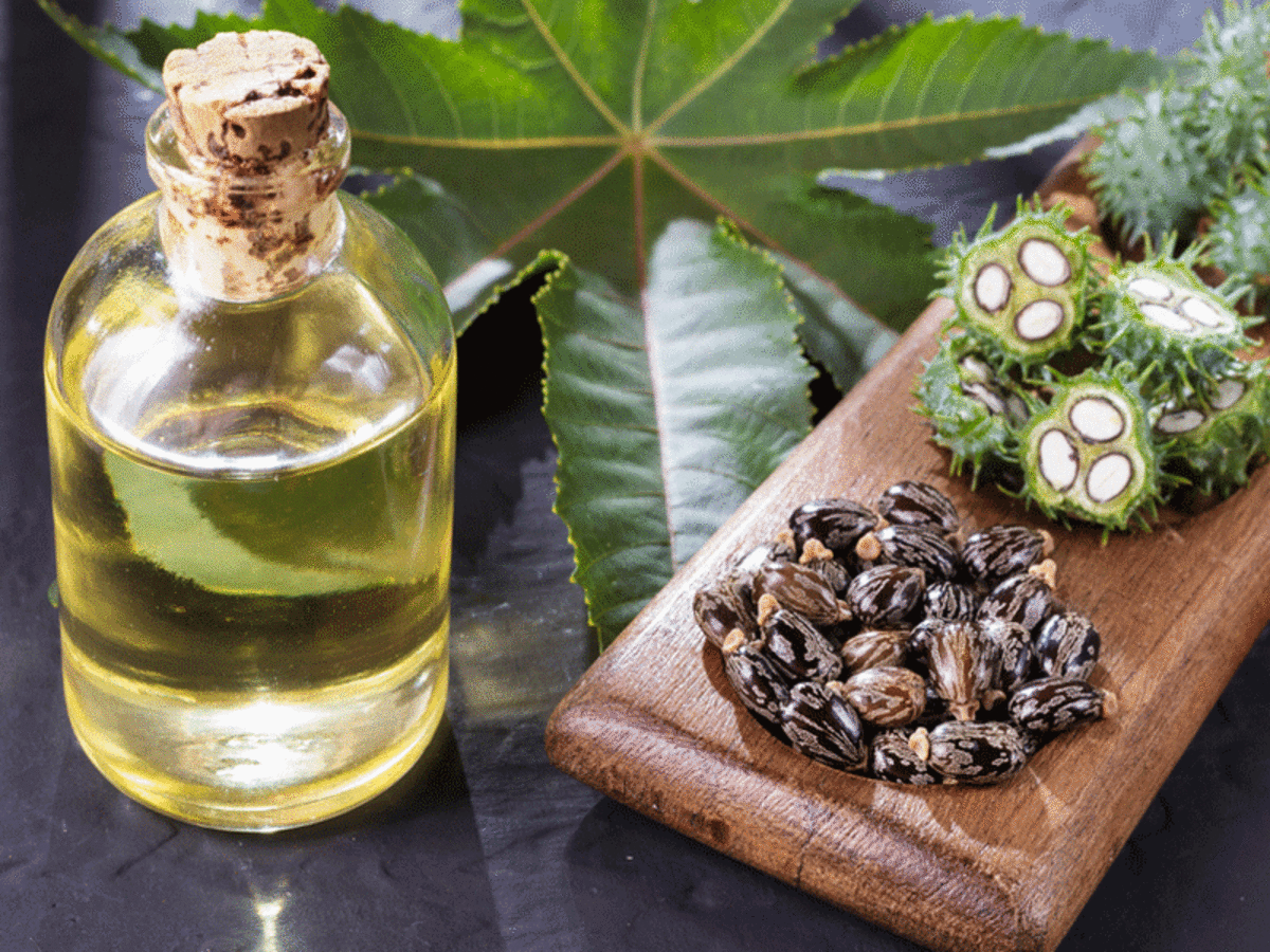 7 Lợi ích và công dụng của dầu thầu dầu (Castor Oil)