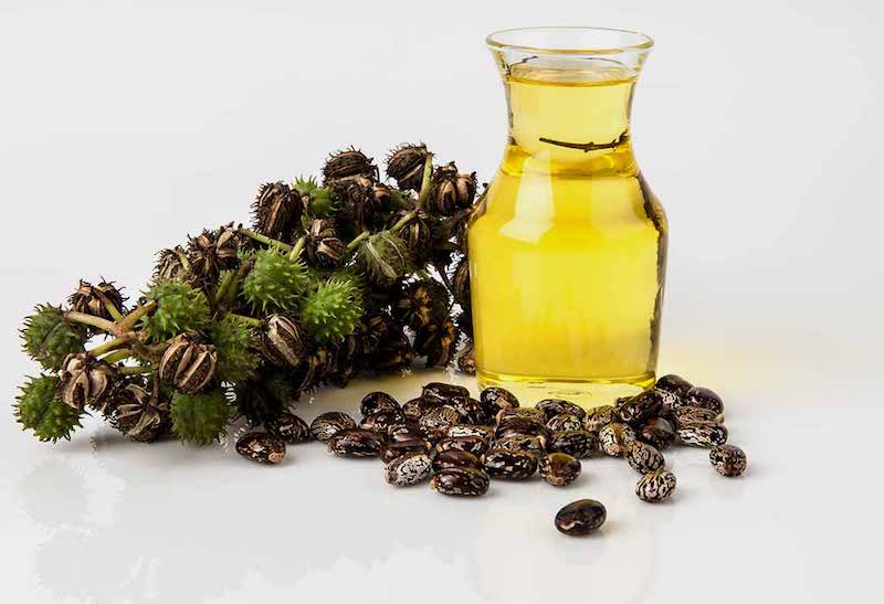 7 Lợi ích và công dụng của dầu thầu dầu (Castor Oil)